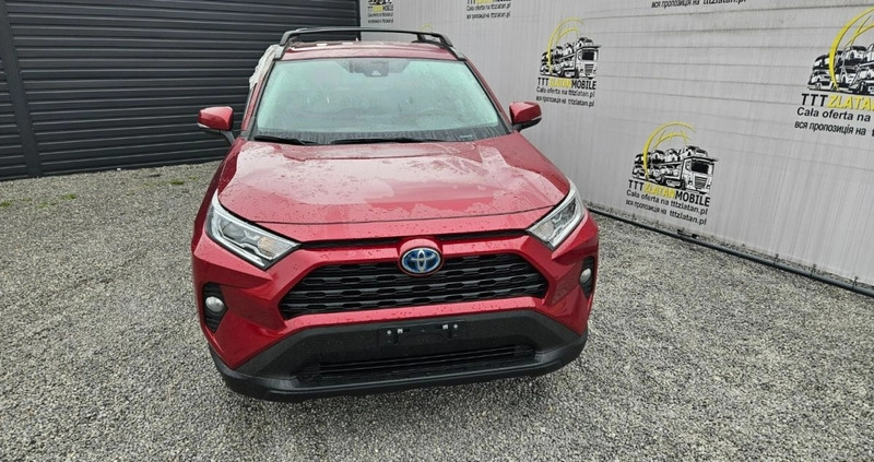 Toyota RAV4 cena 94800 przebieg: 73454, rok produkcji 2021 z Krynki małe 326